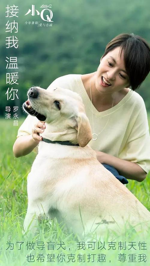 莫道克大学文凭购买